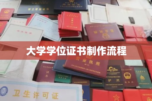 丹凤大学学位证书制作流程