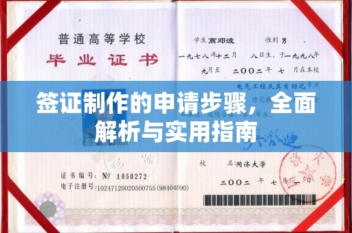 丹凤签证制作的申请步骤，全面解析与实用指南