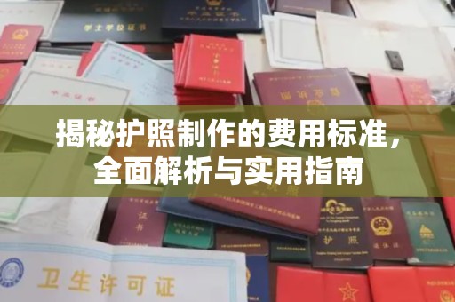 丹凤揭秘护照制作的费用标准，全面解析与实用指南