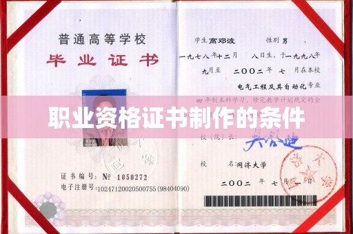 丹凤职业资格证书制作的条件