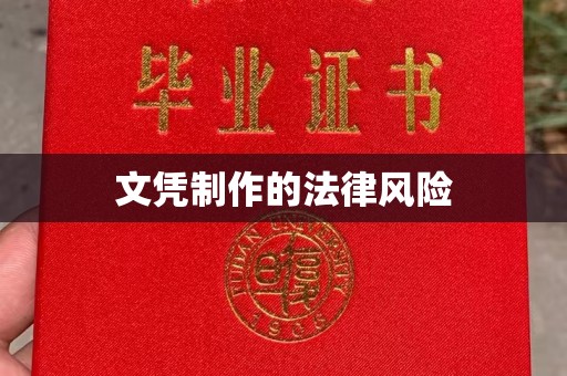 丹凤文凭制作的法律风险