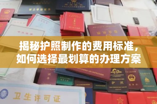 丹凤揭秘护照制作的费用标准，如何选择最划算的办理方案？