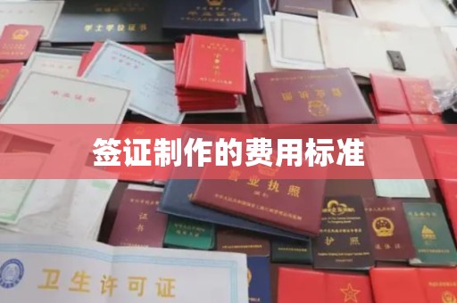 丹凤签证制作的费用标准