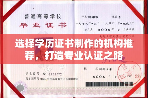 丹凤选择学历证书制作的机构推荐，打造专业认证之路