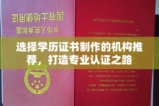 丹凤选择学历证书制作的机构推荐，打造专业认证之路