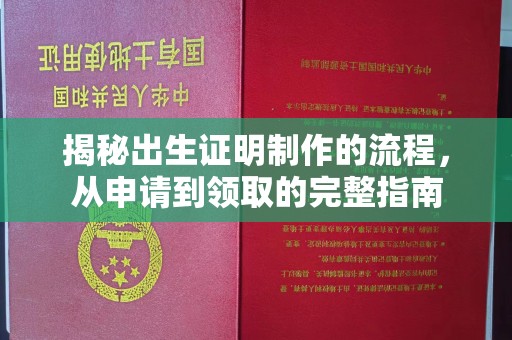 丹凤揭秘出生证明制作的流程，从申请到领取的完整指南