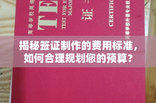 丹凤揭秘签证制作的费用标准，如何合理规划您的预算？