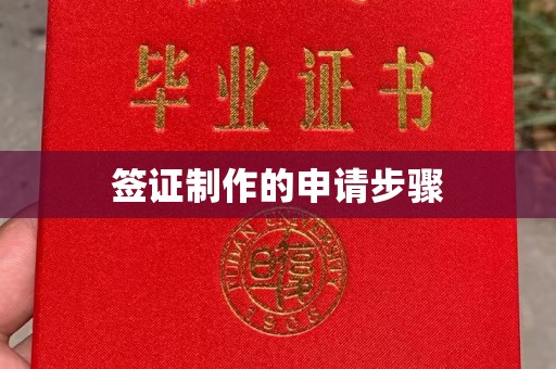丹凤签证制作的申请步骤