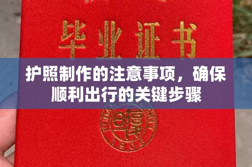 丹凤护照制作的注意事项，确保顺利出行的关键步骤
