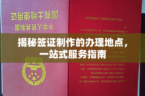 丹凤揭秘签证制作的办理地点，一站式服务指南