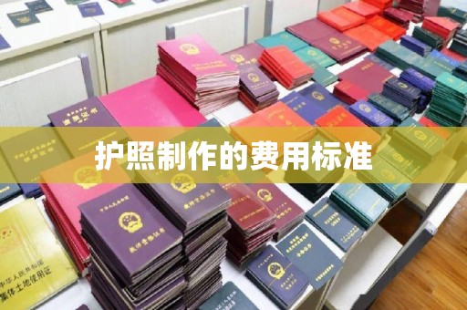 丹凤护照制作的费用标准